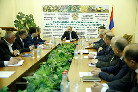«Չեմ ուզում տեռորի մթնոլորտ ստեղծվի». Փաշինյանը՝ կոռուպցիան վերացնելու մասին