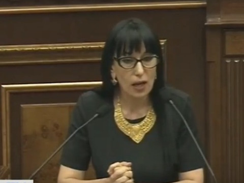 Անհասկանալի է, որ կառավարությունը կրկին թիրախ է դարձրել Ծառուկյանին. Նաիրա Զոհրաբյան
