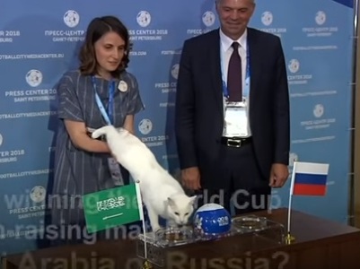 Կատուն գուշակում է՝ ով կհաղթի Ֆուտբոլի աշխարհի առաջնության առաջին խաղին