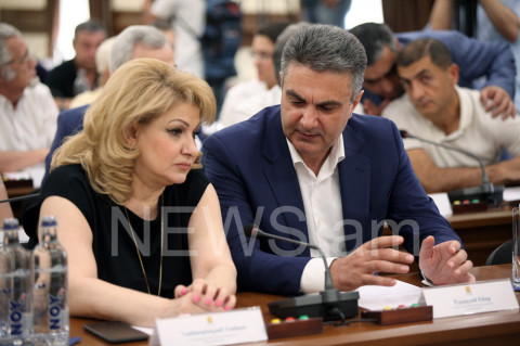 Իրան հարցրեք էլի. Նաիրա Նահապետյանը՝ Տարոն Մարգարյանի հրաժարականի մասին