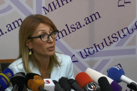 ԲՍՓ ոլորտում կատարված չարաշահումների վերաբերյալ քրգործ է հարուցվել. նախարար