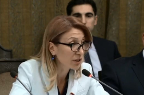 Որպեսզի զույգ երեխա չունեցողները չպատժվեն, Թանդիլյանի նախագծի քվեարկությունը հետաձգվեց