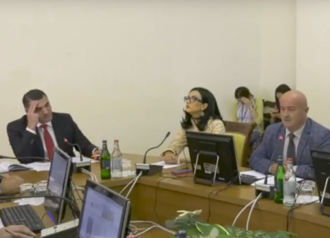 Ես գիտեմ՝ ով ա ընդդիմություն, դուք գիտե՞ք՝ ով ա ընդդիմություն. զավեշտ Ազգային ժողովում