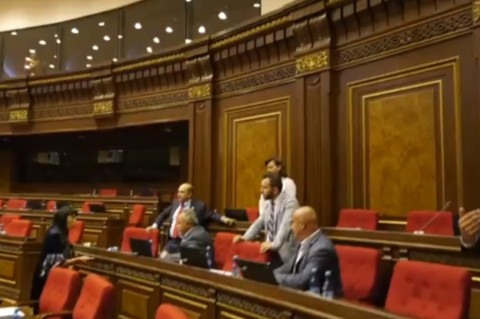 Դու որպես իմ ընկեր ի՞նչ արեցիր, ամոթ քեզ. Նաիրա Զոհրաբյանը` Սասուն Միքայելյանին