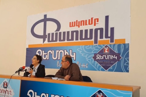 Շատ կոպիտ սխալ էր. Լարիսա Ալավերդյանը՝ Փաշինյանի աղմկահարույց հայտարարության մասին