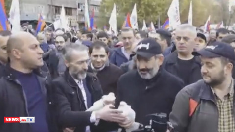 Փաշինյանը երթի ժամանակ աղավնի թռցրեց