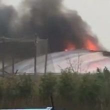 Fire breaks out at Chester Zoo