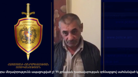 Դաժան սպանություն Տավուշում․ որդին կացնահարել է մորը