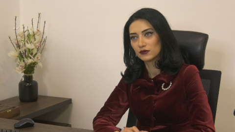 Դուք խեղաթյուրել եք միջազգային փորձը, խառնել եք. Արփինե Հովհաննիսյան