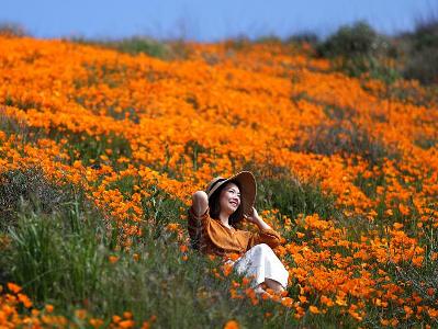 Super bloom of California poppies attract thousands of tourists