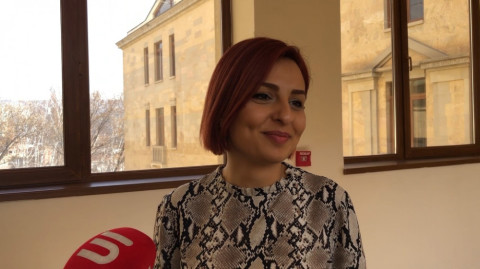 Քաղաքական ենթատեքստ չունի․ Անի Սամսոնյանը՝ քաղաքացու օրվա մասին