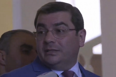 Ես էլ կենցաղային ենթատեքստ եմ տեսնում. Անանյանը՝ «Առինջ մոլում» ստուգումների մասին