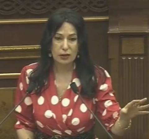 Շներին ու կատուներին էլ եք քաղաքականացնում. Նաիրա Զոհրաբյանը՝ «Իմ քայլին»
