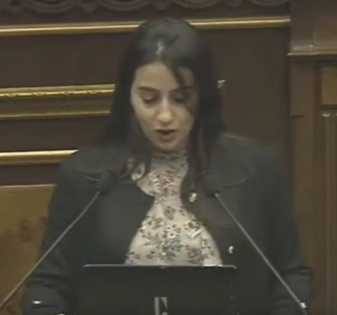Նազենի Ղարիբյանը ֆինանսավորել է Օպերայի դեմ բողոք գրողներին. ԼՀԿ պատգամավոր
