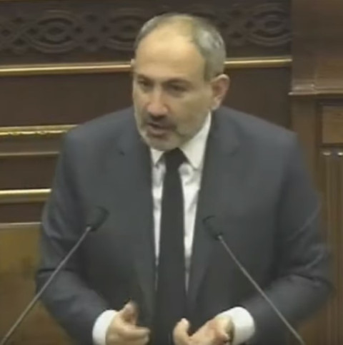Ես պատճառ չունեմ ալերգիայի, եկեք իրար վերահսկենք. Նիկոլ Փաշինյան