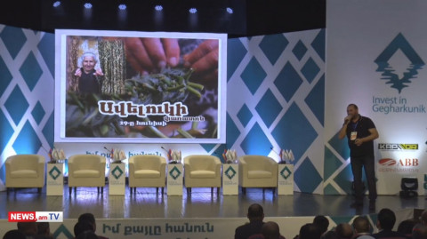 Գործարարը Փաշինյանին հրավիրեց ավելուկ հյուսելու