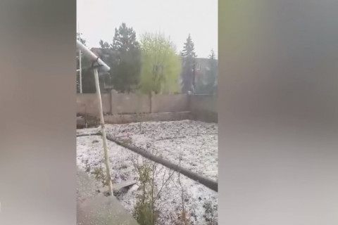 Կես ժամ տևած կարկուտը վնասել է Գավառ քաղաքի բերքը