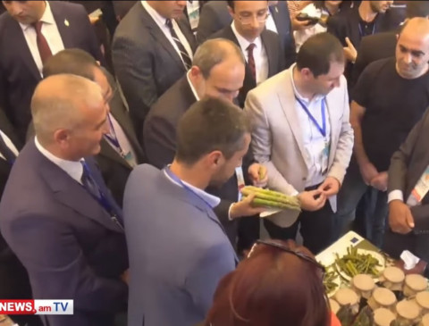 Ճագարն աճացնում են, ծնեբեկը ցանում, գոմաղբը լցնում. Փաշինյանը կատակեց