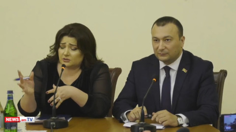 Վահե Գրիգորյանը 1 տարի առաջ նախագահին համարում էր տխմարագույն ճառեր ասող. Իվետա Տոնոյան
