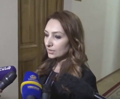 Զեյնալյանի աշխատանքի հետ կապված մտահոգություններ են եղել. Լիլիթ Մակունց