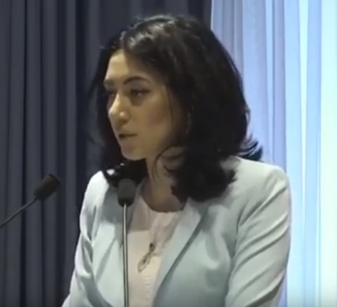 Լուսանկարը բավարար է՝ եզրակացության համար. Արփինե Հովհաննիսյանը՝ վեթինգի մասին