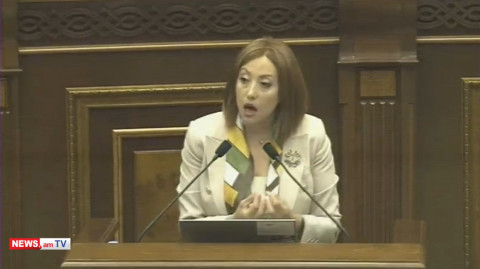 «Իմ քայլի» պատգամավորը հուզվեց՝ Վահե Գրիգորյանի մասին խոսելիս