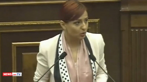 Հյուրանոցների գրպանները մտնելու փոխարեն քաղաքի աղբը մաքրեք. Անի Սամսոնյանը՝ «Իմ քայլին»