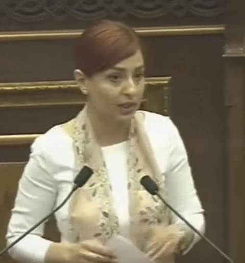 Ակտիվացրեք սիրուն աղջկան, հարգելի կառավարություն. Անի Սամսոնյան
