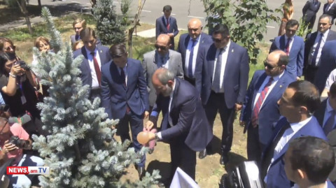 Փաշինյանը եղեւնի տնկեց ռուսական համալսարանի բակում