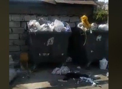 Աղբն է ավելի դուխով, թե մենք ենք ավելի դուխով, որ կարողանանք մերժել աղբին. Սոնա Աղեկյան
