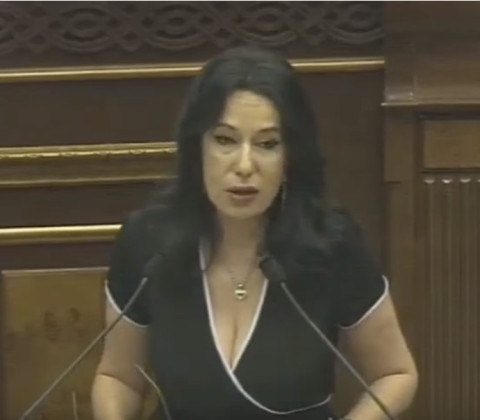 Միայն լալահառաչ ստատուսներ են. Նաիրա Զոհրաբյանը՝ Սևանի մասին