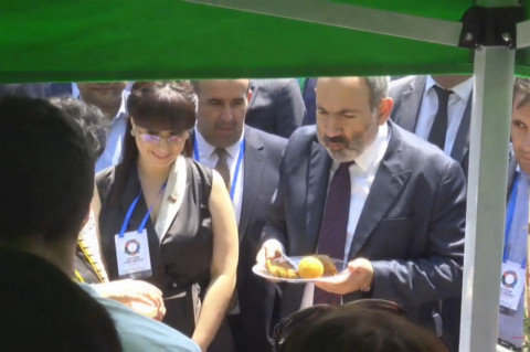 Էս ի՞նչ ա, ձկան պելմենի՞. Փաշինյանը՝ գործարարին