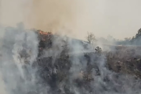 Հրդեհ Հրազդանի կիրճում