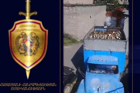 Ոստիկանները ապօրինի ծառահատման դեպքեր են բացահայտել