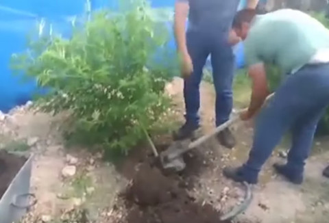 34–ամյա տղամարդը տանը թմրամիջոց էր պատրաստում