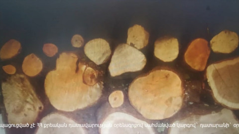 Ապօրինի ծառահատման հերթական դեպքը Լոռիում