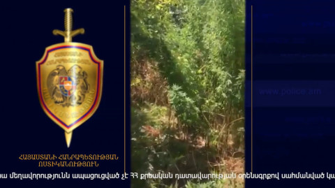 Երեւանում մեծ քանակի թմրամիջոց է հայտնաբերվել