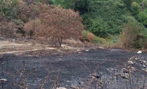 Մեղրիում հրդեհի պատճառը եղել է խորովածի կրակը. ոստիկանների բացահայտումը