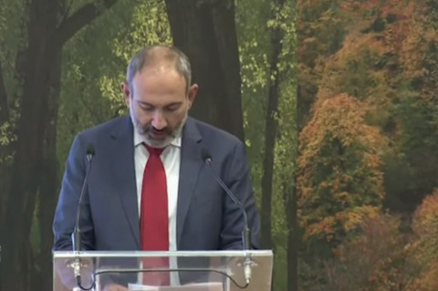 Փաշինյանի խոսքը՝ «Հանուն անտառների. գլոբալ ջանքերը եւ Հայաստանը» խորագրով գագաթնաժողովին
