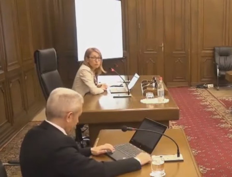 Ոչ մի բան չանելու դեպքում էլ այսքան աճ կարելի էր ապահովել. Մանե Թանդիլյանը՝ բյուջեի նախագծի մասին