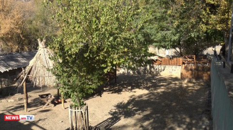 Փաթաթվել է կենգուրուի վզից, որ պոկի շների ճիրաններից. կենդանաբանական այգու մղձավանջը