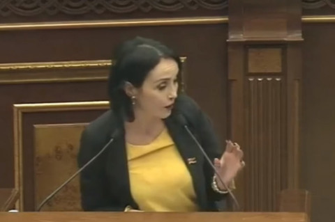 «Կոռուպցիոն ռիսկ կա». Լուսինե Բադալյանը՝ առողջապահության փոխնախարարին