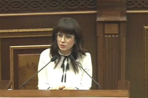 «Մեծացել եմ մի քաղաքում, որտեղ քրեական հեղինակությունները սպանություններ են արել». պատգամավոր