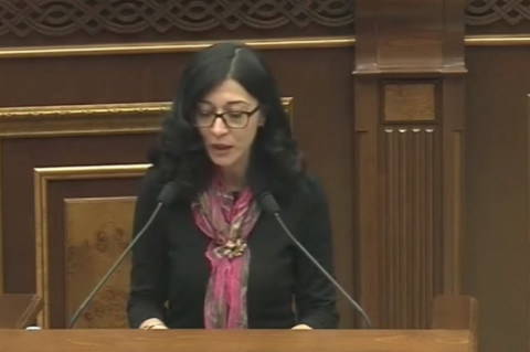 Կարծիք կա, որ օրենքների խախտումը գեղեցիկ կերպարի գրավական է՝ «լավ տղու». Արփի Դավոյան