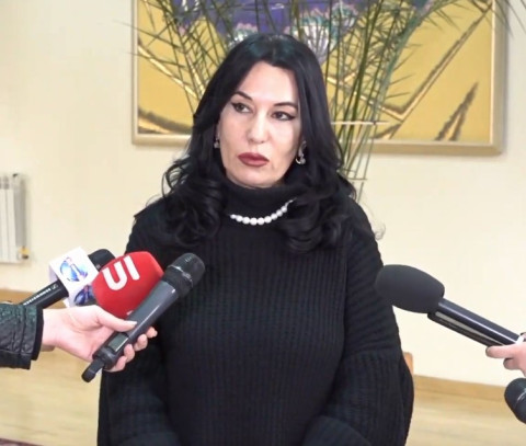 Արայիկ Հարությունյանի գործունեության մեջ բազմաթիվ մտահոգիչ կետեր կան. Նաիրա Զոհրաբյան