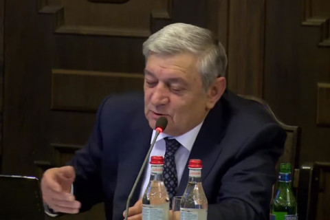 Կաթիլայինով ի՞նչ պիտի անեք էդ լանջերը. Ցոլակյանը զարմացավ