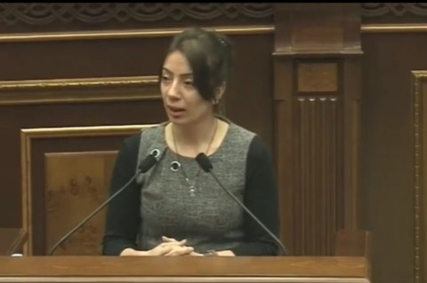 Կարելի էր ավելի լավ գրել էլի օրենքը. «Իմ քայլի» պատգամավորը՝ Մարուքյանին