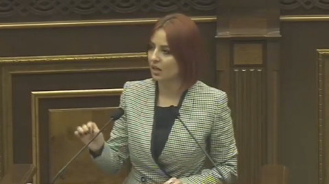 Գիտենք՝ որ ֆեյքն ում համար է աշխատում. Անի Սամսոնյանը՝ իշխող ուժին