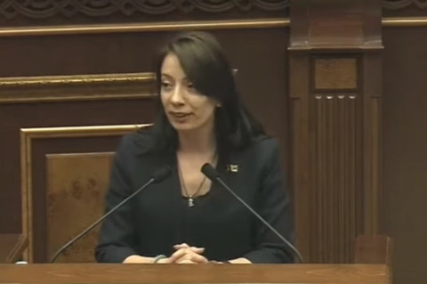 Իզուր գումար եք տալիս, պարոն Ծառուկյան. «Իմ քայլի» պատգամավոր