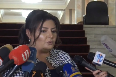 Պարոն Ծառուկյանն ունի բոլոր հիմնավորումներն ու անհրաժեշտ փաստարկները. Իվետա Տոնոյան